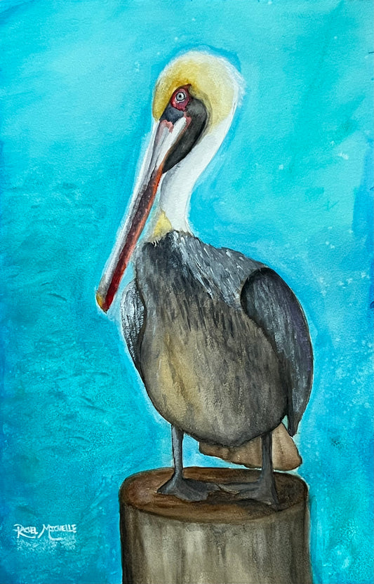 The Pelican Print 8x10 by Rachel Michelle