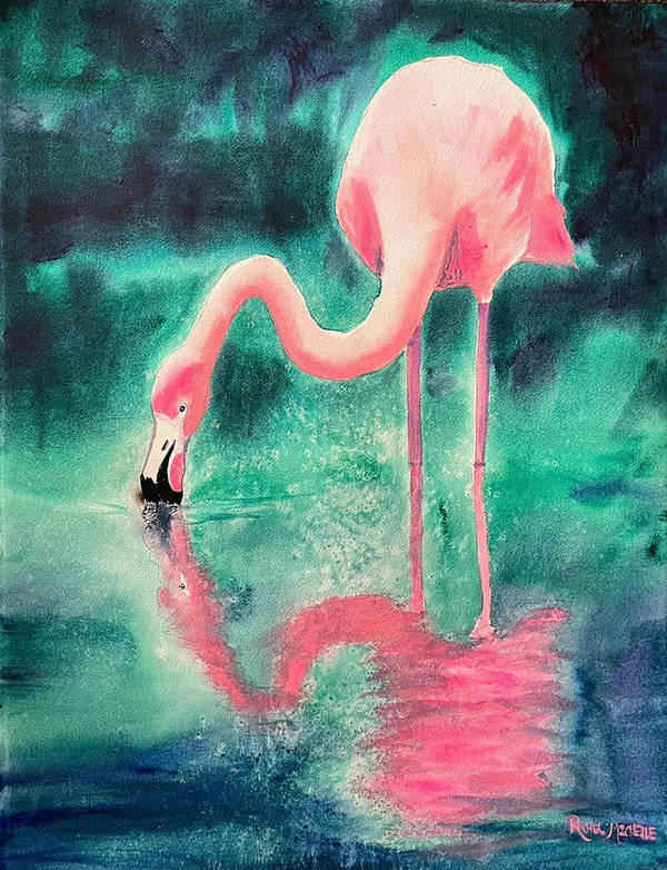 Flamingo Reflection - Art Print
