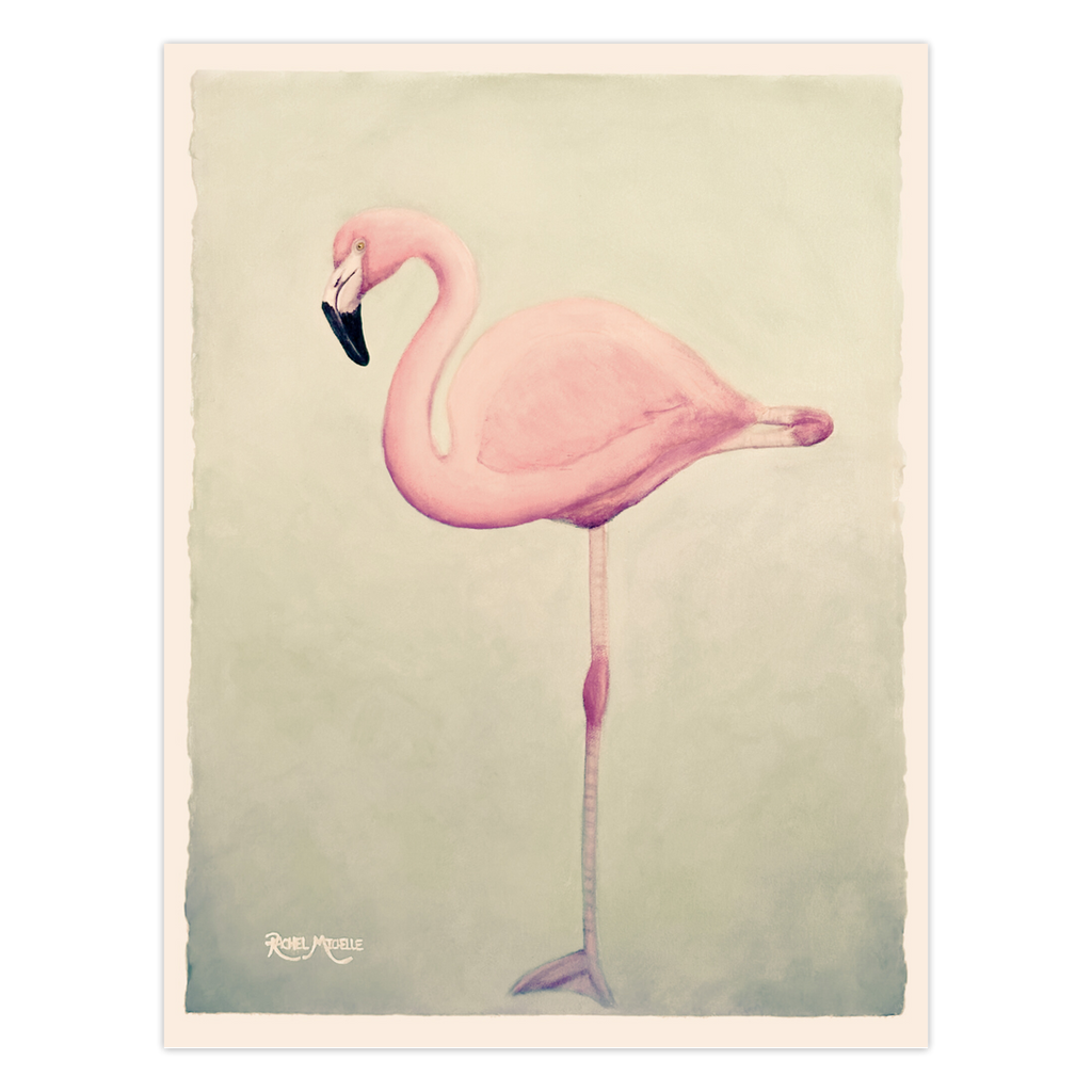 Flamingo Notecards by Artist Rachel Michelle