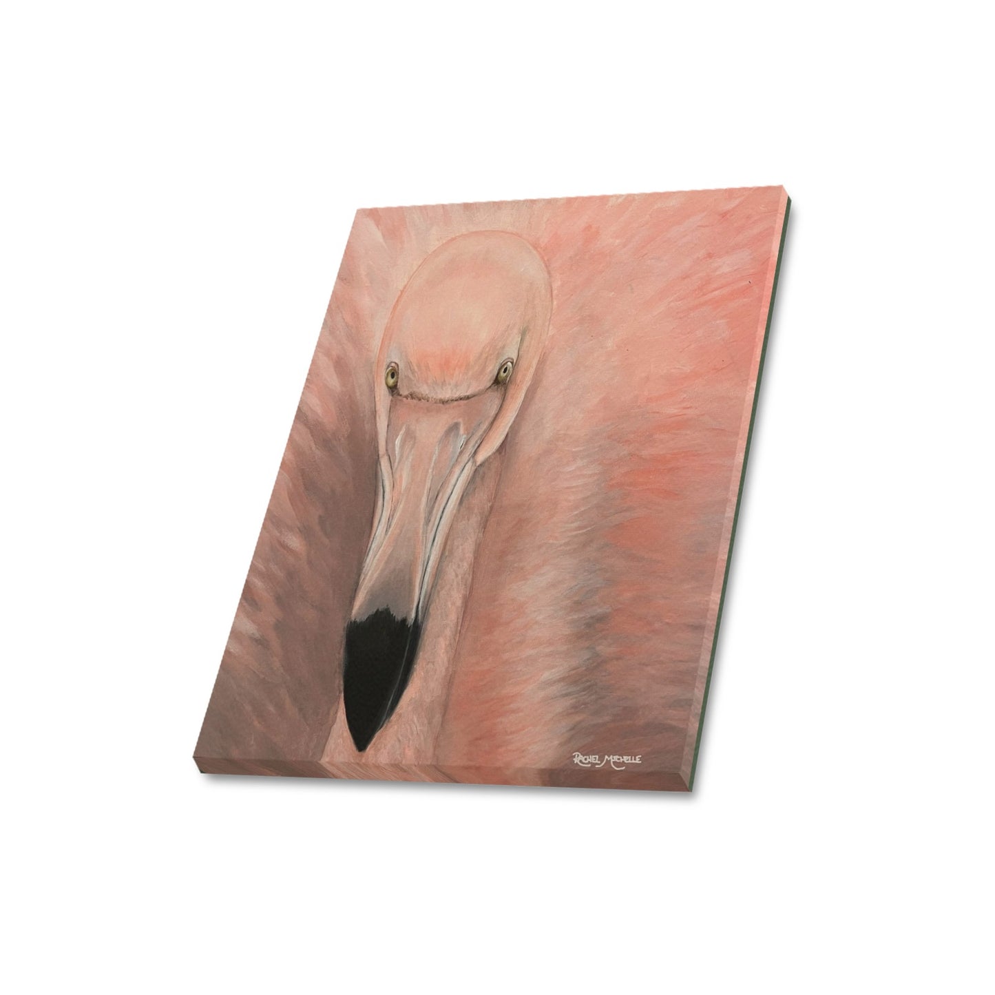 Fancy Flamingo Canvas Print by artist Rachel Michelle