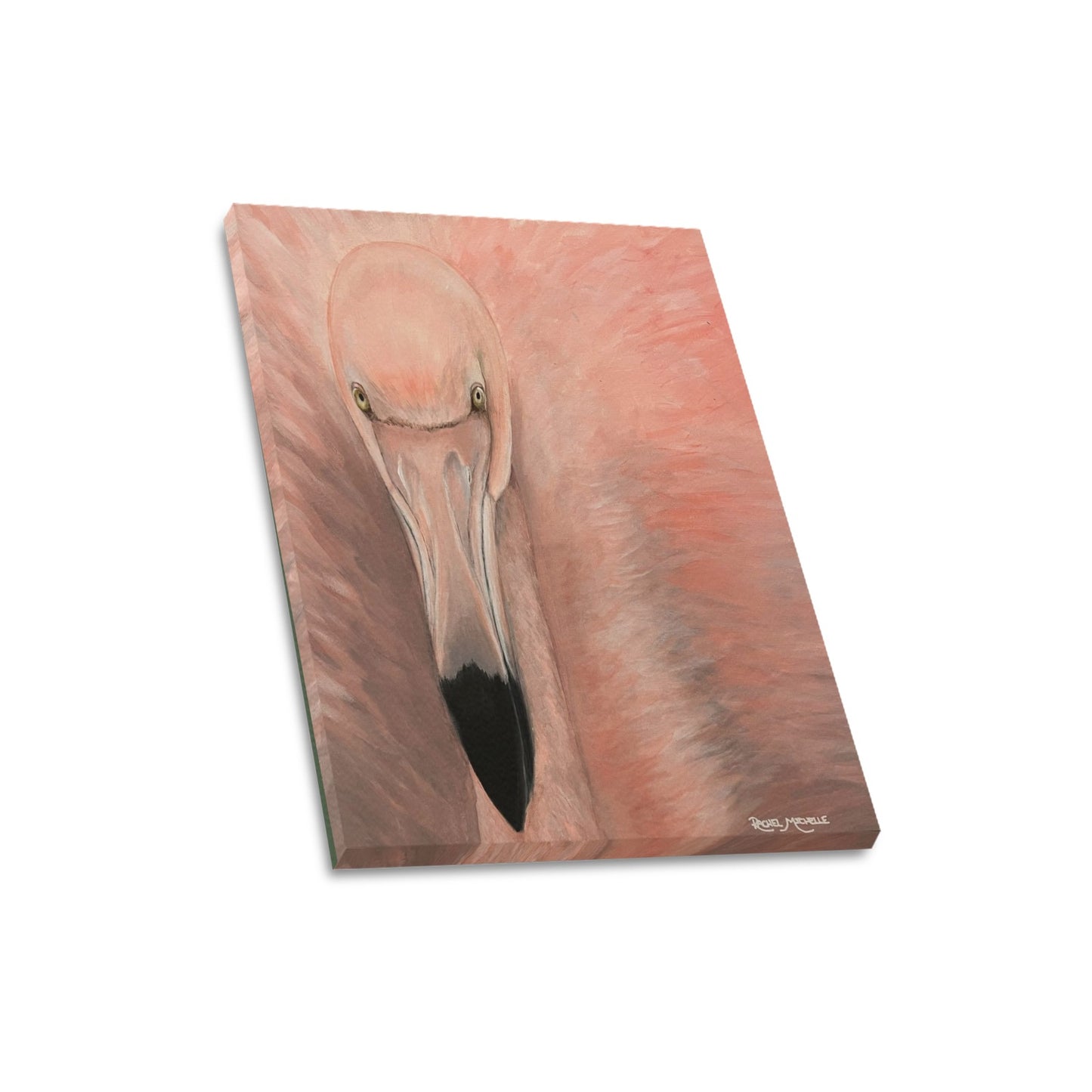 Fancy Flamingo Canvas Print by artist Rachel Michelle